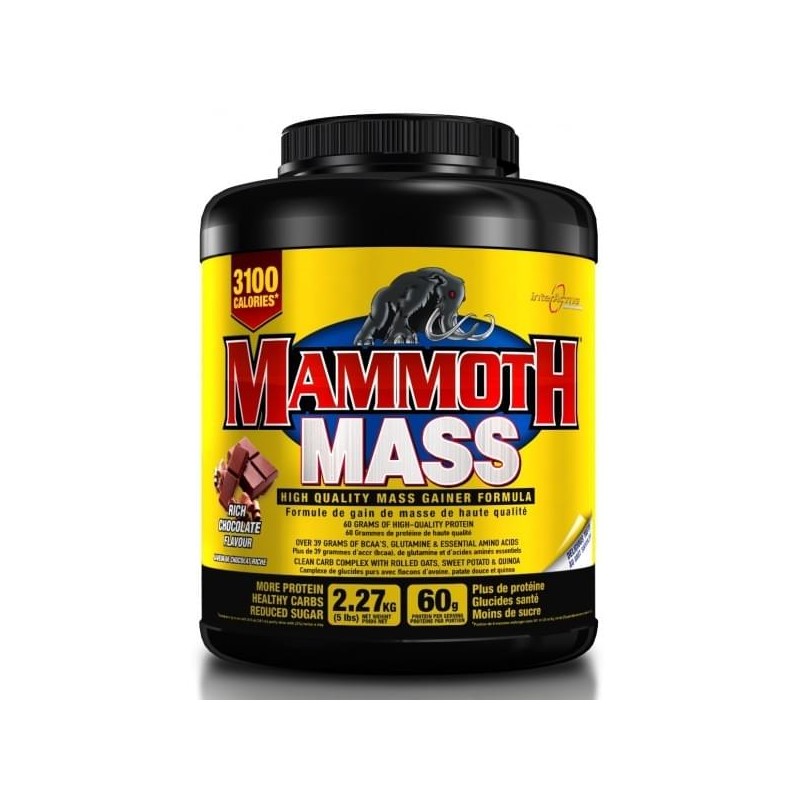 Mammoth Mass – Gainer Puissant